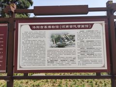 -洛阳古墓博物馆