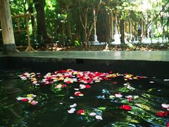 -昆明柏联SPA温泉