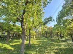 -嘉北郊野公园