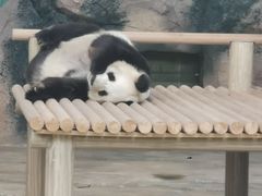 -苏州太湖国家湿地公园