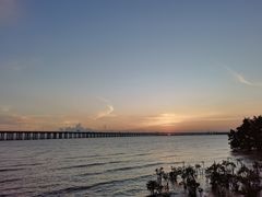 -宝安西湾红树林湿地公园