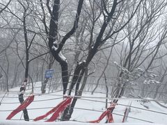 -妙峰山风景名胜区