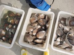 -登州市场(登州路店)