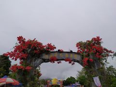 -天适樱花悠乐园