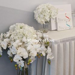 -UTIME媛腾·胶原科技中心