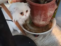 -小时光咖啡馆(北锣鼓巷店)