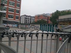 -南昌外国语百树学校