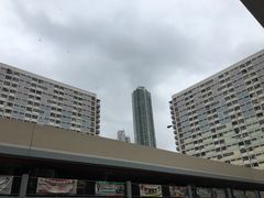 -彩虹村