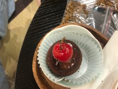 -逗柴咖啡屋·狗咖猫咖宠物桌游