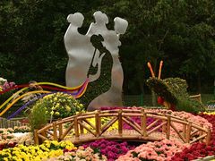 -上海共青森林公园