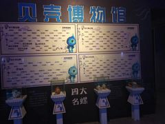 -贝壳梦幻世界