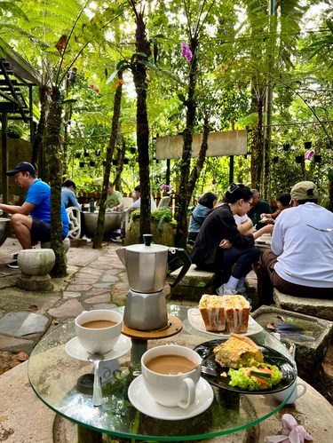 槟城 在热带雨林里吃一顿清晨brunch