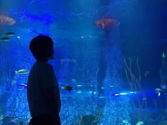 -沈阳海洋探索中心