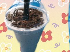 -DQ·蛋糕·冰淇淋(三亚青春颂店)