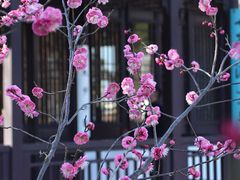 -虎丘山风景名胜区