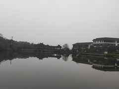 -张坝桂圆林公园