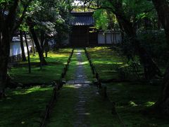 -西芳寺(苔寺)