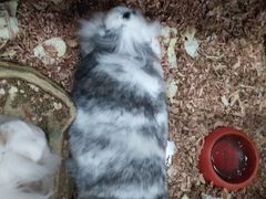 -上海大自然野生昆虫馆(东方明珠·爬宠昆虫探索中心)