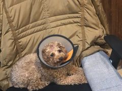 -S-Time剧情机关密室逃脱(张公桥店)