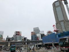 -涩谷区