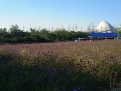 -渔岛海洋度假区