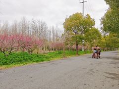 -上海海湾国家森林公园