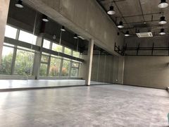 -EFL巴西柔术·综合格斗·泰拳·少儿体能训练(虹桥德必馆)