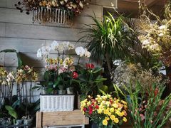 景观位-春暖花开(西溪店)