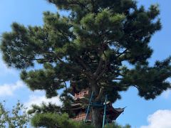 -龙华寺