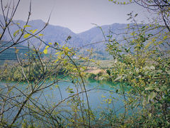 -龙坞茶村
