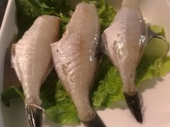 -锅说大脸毛肚重庆老火锅(佐阾店)