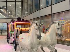 -世界之窗阿尔卑斯冰雪世界