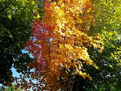 -长春世界雕塑园冰雪艺术天地