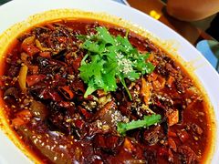 成都毛血旺-58度品质川菜馆(经一路店)