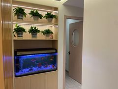 -智慧盲人按摩艾灸-颈肩腰膝疼痛调理(浦东店)