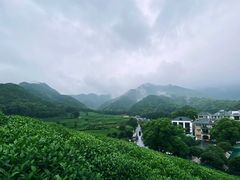 -龙坞茶村