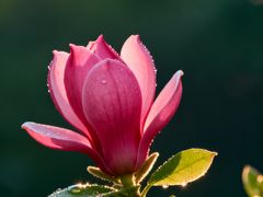 -闪电修企业手机电脑回收(西湖风景名胜区店)