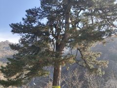 -秦岭终南山世界地质公园翠华山景区