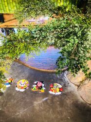 -Zoolung Zoolung动物主题公园(海信广场店)