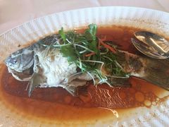 -顺德喜来登酒店·采悦轩