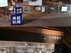 -世界恐龙谷景区