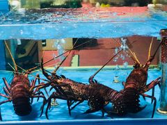 -胶东海鲜大排档(北太平庄店)