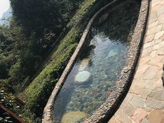 -天目湖涵田半山温泉
