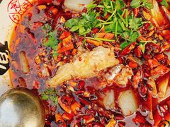 水煮耗儿鱼-罗妈砂锅(四川成都奎星楼店)