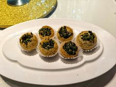 -席家花园(巨鹿花园店)