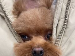 -宠颐生·恒爱宠物医院(静海店)