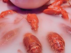 -红盔甲·小龙虾(定西路店)