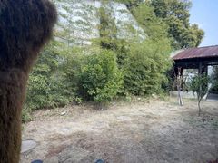 -柴米油盐(土菜院子店)