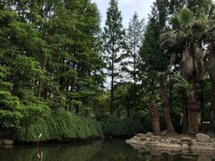 -苏州河梦清园环保主题公园