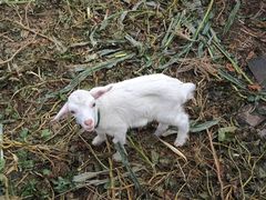 -乡乐园蟹庄·阳澄湖农家乐